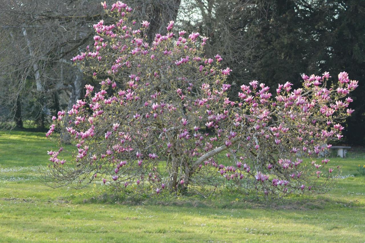 Gite La Grande Racinaie Cre-sur-Loir Luaran gambar