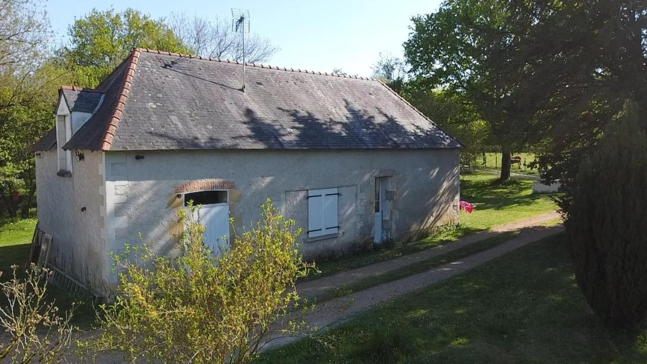 Gite La Grande Racinaie Cre-sur-Loir Luaran gambar